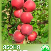 Колонн.Арбат — изображение 1