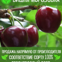 Морозовка — изображение 1