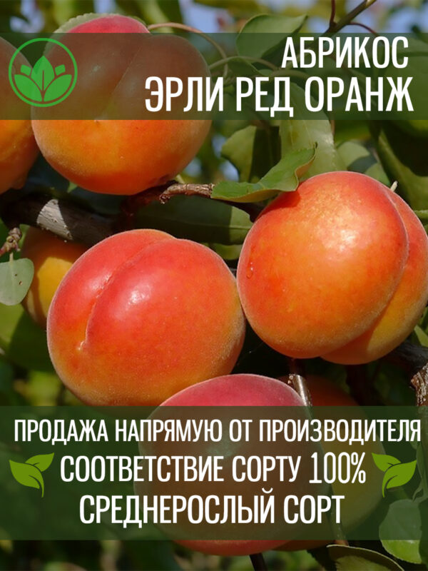 redorange