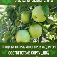 Семеренко — изображение 1