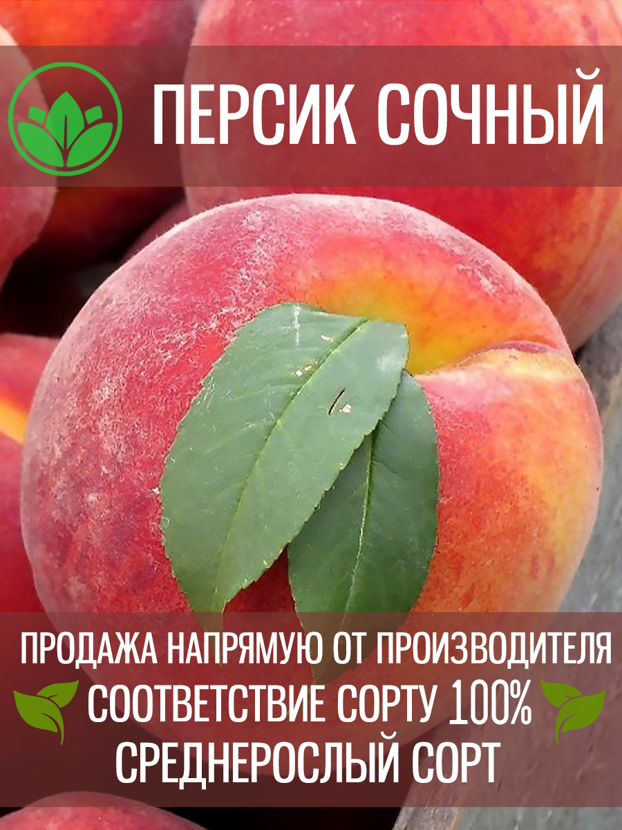Сочный