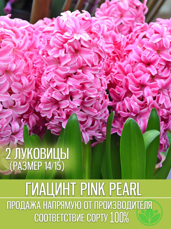 pinkk